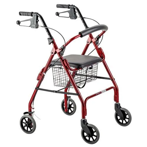 Days Seat Walker 6 Wheel