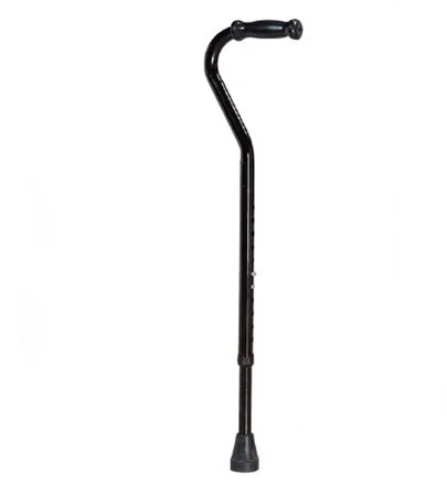 507 BE71066 Walking Stick