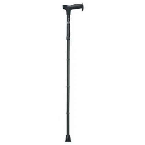 Hugo Folding